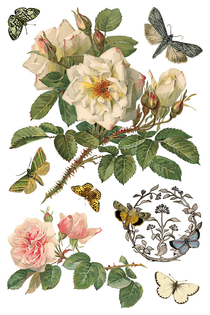 Vintage-style illustration of flowers and butterflies on a white background