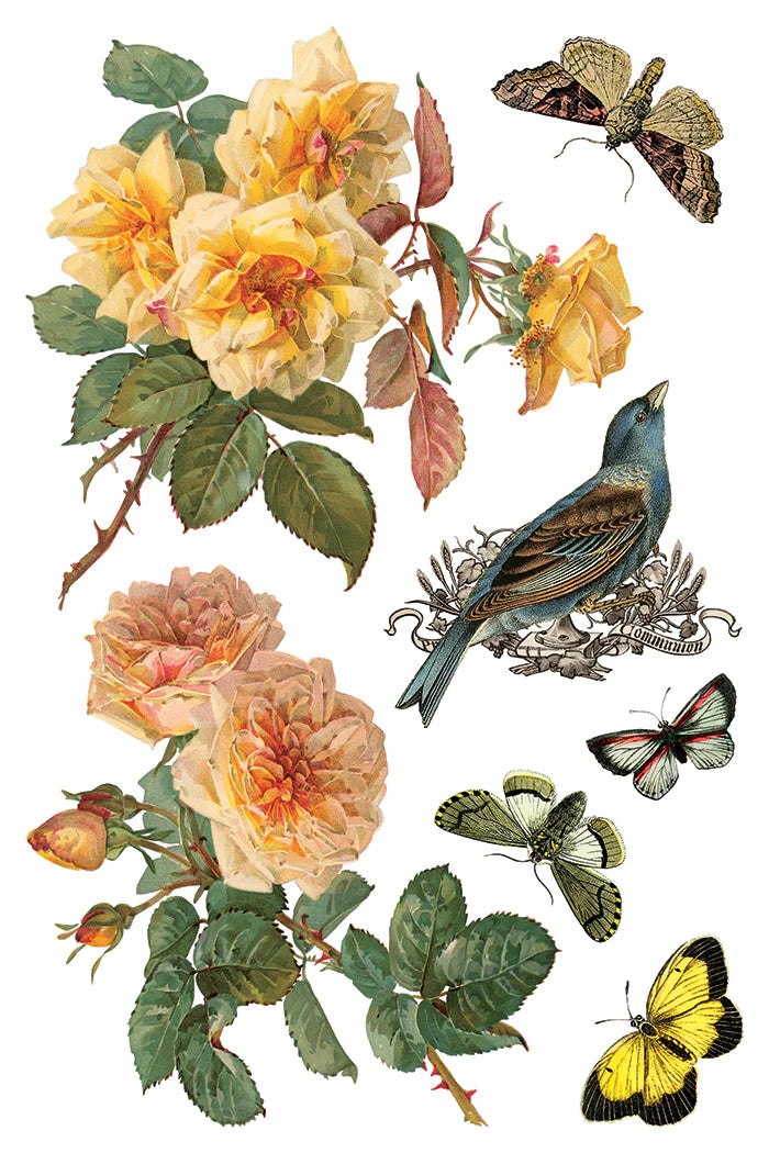 Vintage-style illustration of flowers, birds, and butterflies on a white background