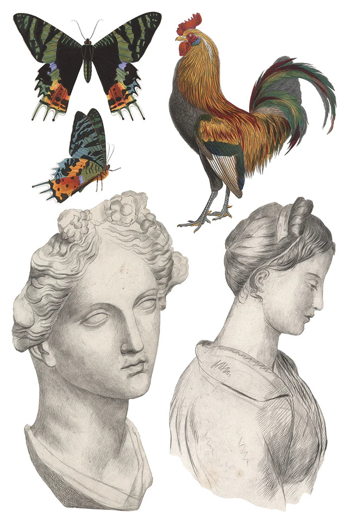 Illustration of a rooster, butterflies, and classical busts on a white background