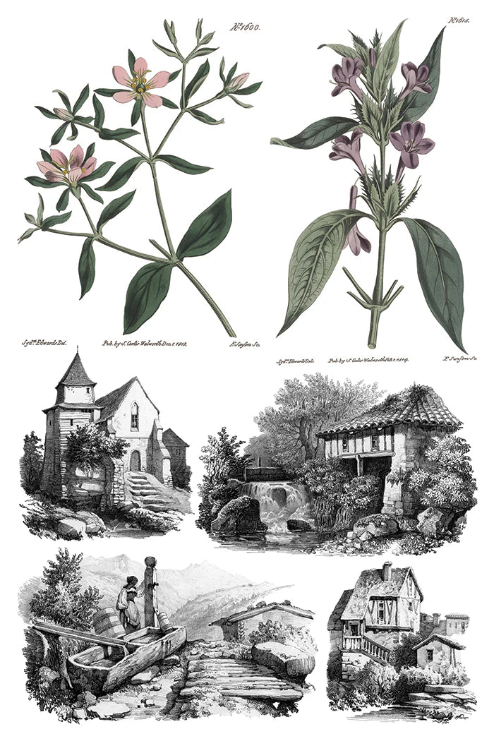 Illustrations of plants and scenic views, including a castle and a village.