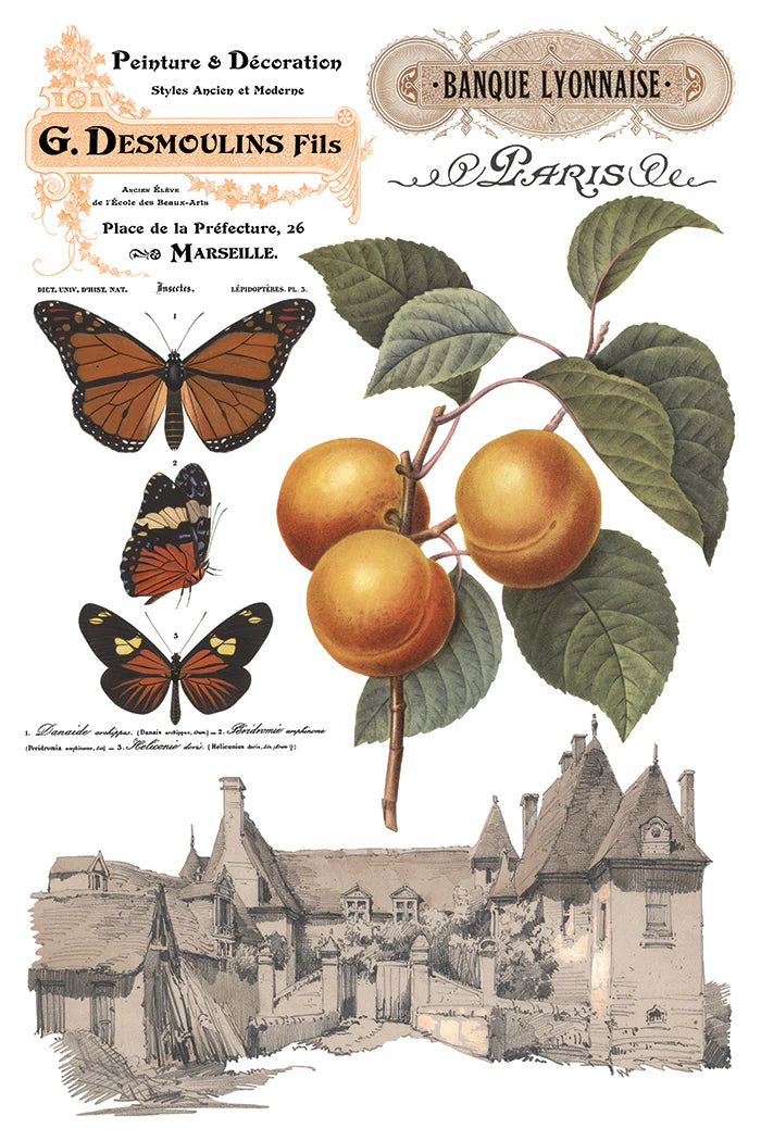 Vintage-style illustration with butterflies, apricots, and a village scene, featuring branding text.