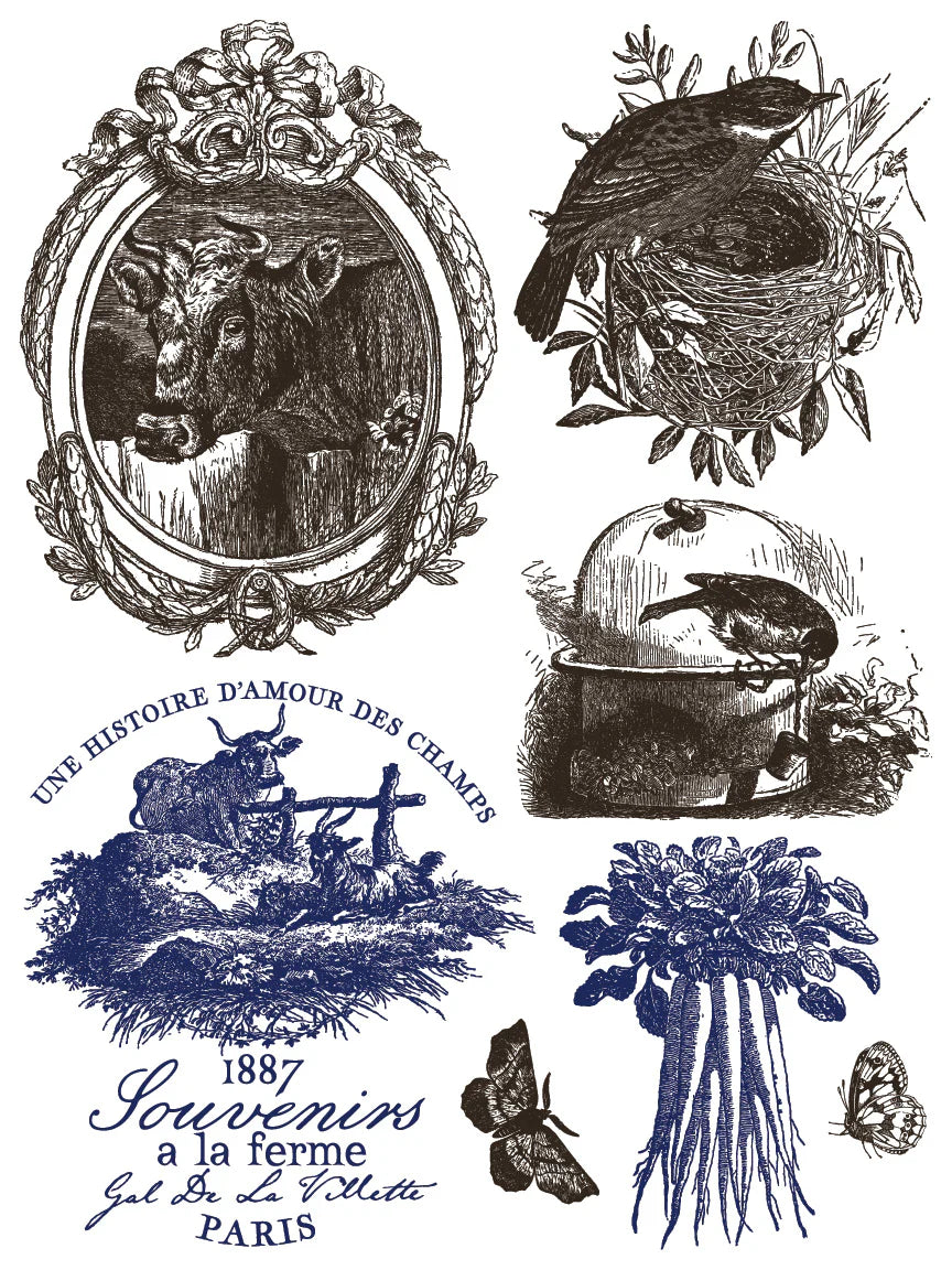 Collection of vintage-style illustrations with nature and rustic elements.