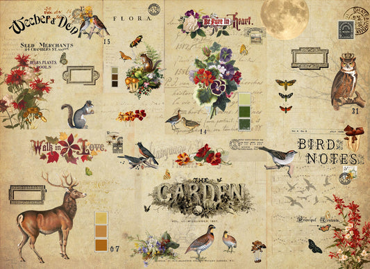 Fall Celebration - 21" x 29" Decoupage Paper - July 2026