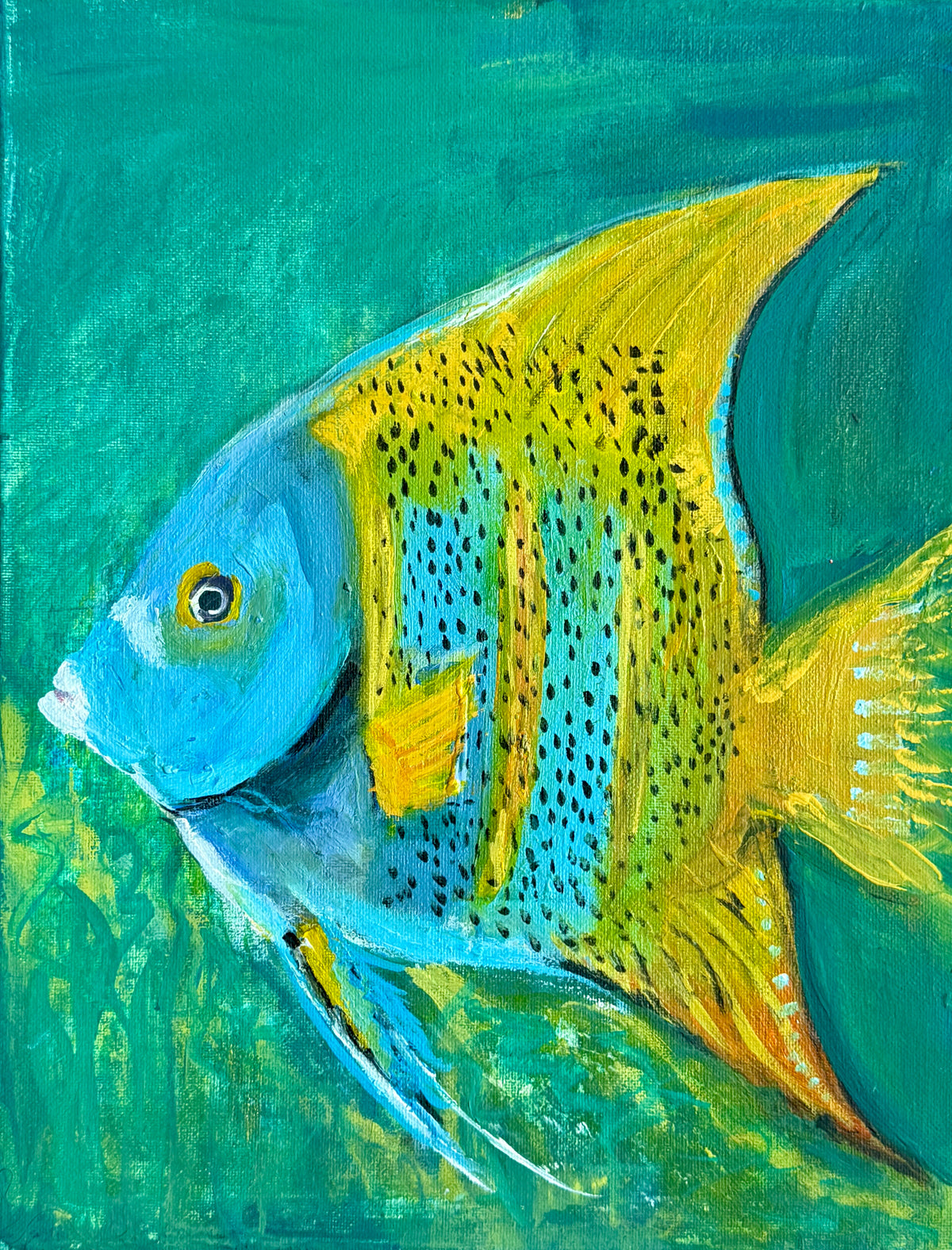 "Queen Angelfish" - fine art print by Aimee Robinson