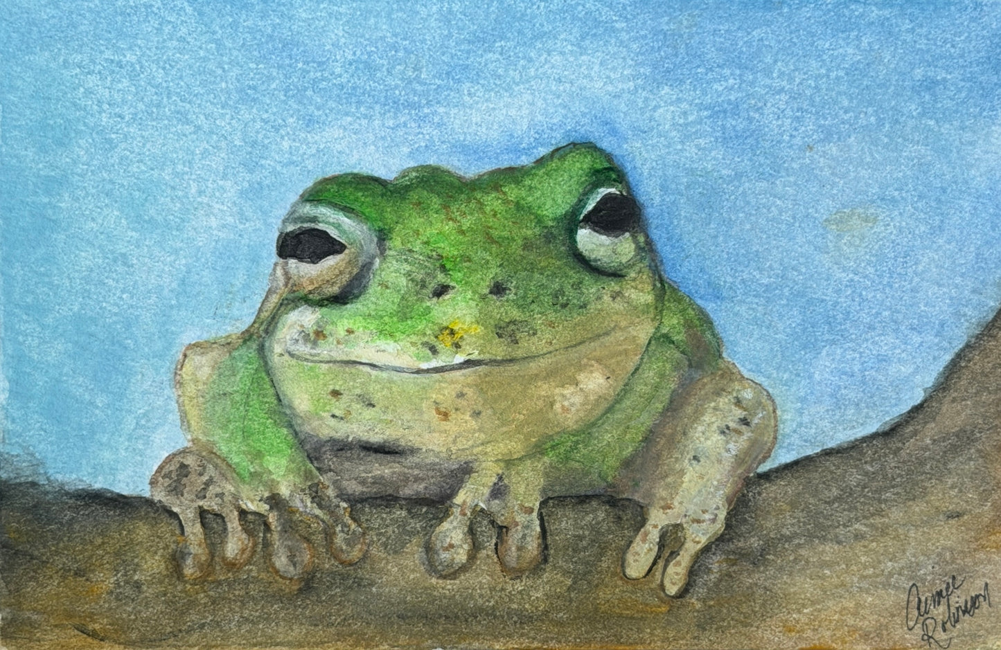 "Happy Tree Frog" - fine art print by Aimee Robinson