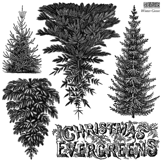 A stamp of a black and white vintage-style illustration of four different Christmas evergreen trees with decorative text reading 'CHRISTMAS EVERGREENS' and 'Winter Grove' in the upper right.