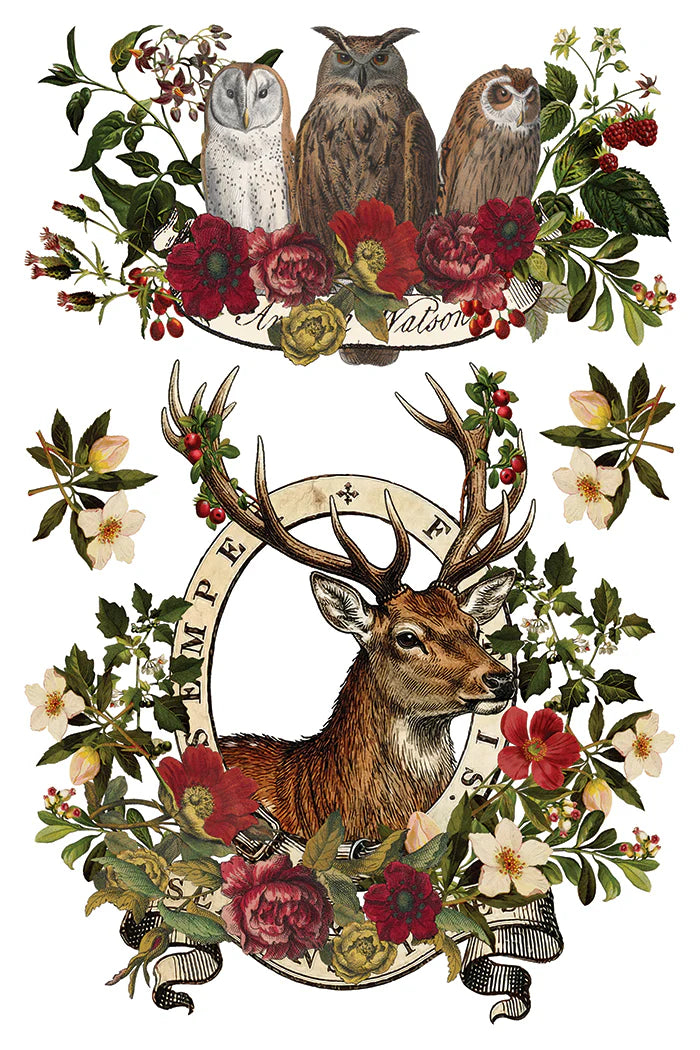 Rub on transfer sheet with vintage-style botanical illustration featuring three owls at the top and a deer head with antlers inside an ornate frame at the bottom, surrounded by roses, leaves, berries, and small flowers on a white background.
