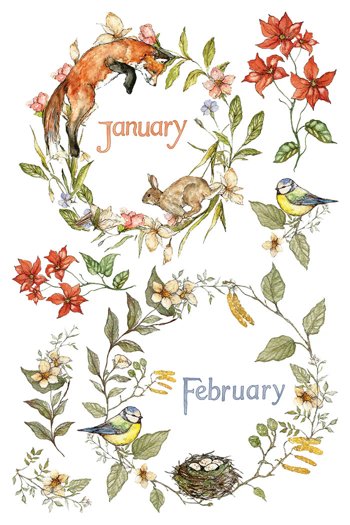 A page of IOD rub on transfers with illustration on a white background showing floral wreaths and seasonal elements around the words January and February. Visible subjects include an orange fox, a brown rabbit, two bluebirds, red flowers, green leaves, and a small bird's nest.