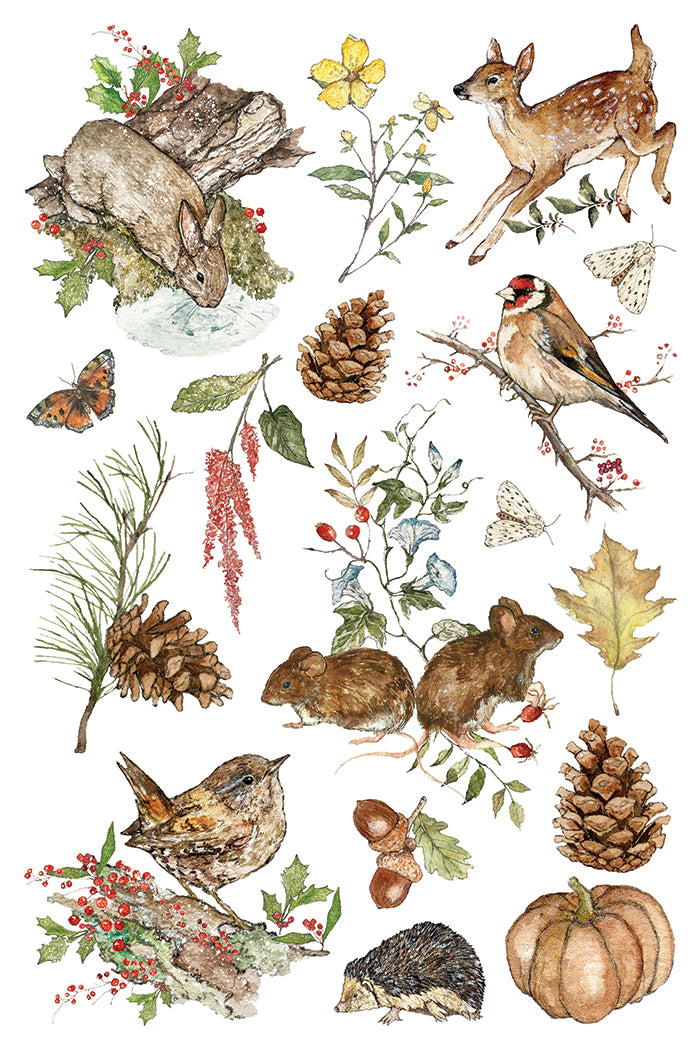 The Bramblewood Diaries - 8" x 12" Seasonal Transfer Pad