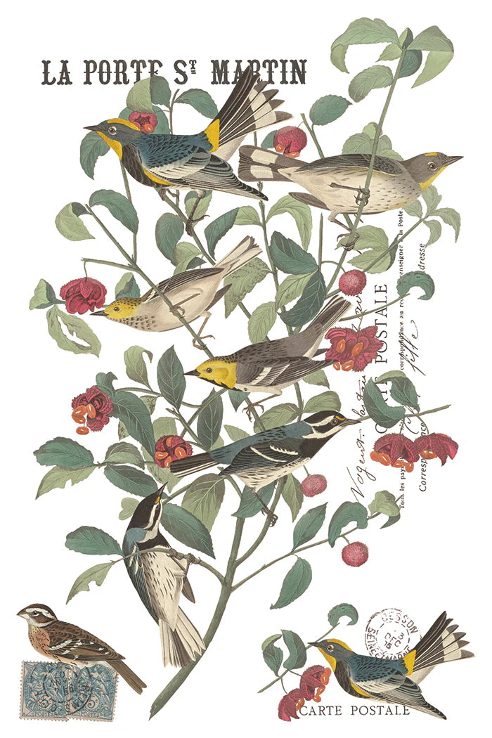 A transfer sheet with vintage-style bird illustration print featuring several birds perched on leafy branches with red berries, French text reading 'LA PORTE S. MARTIN' and 'CARTE POSTALE', on a white background.