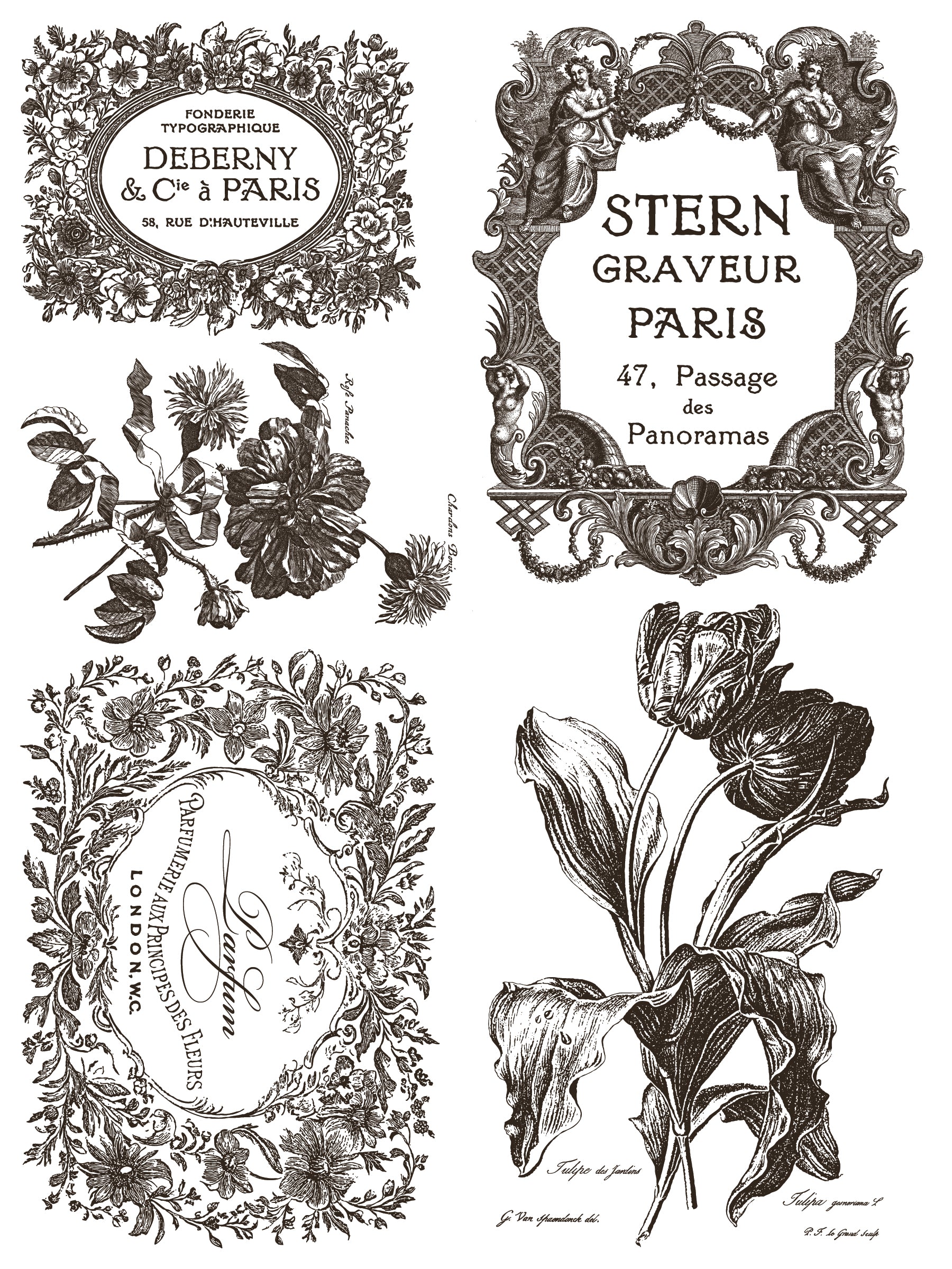 Decorative vintage-style frames and floral elements on a white background