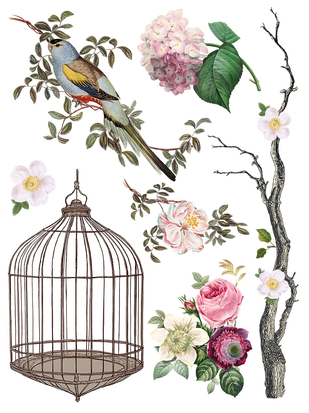 Page from IOD Menagerie transfer with birdcage, birds, branches, flowers