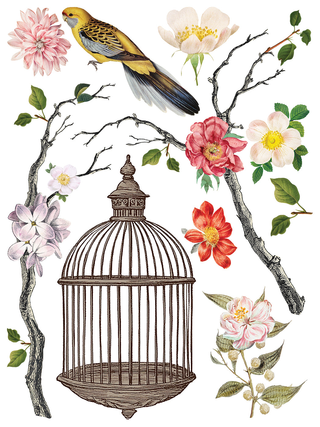 Page from Menagerie Transfer IOD with birdcage, finch, flowers