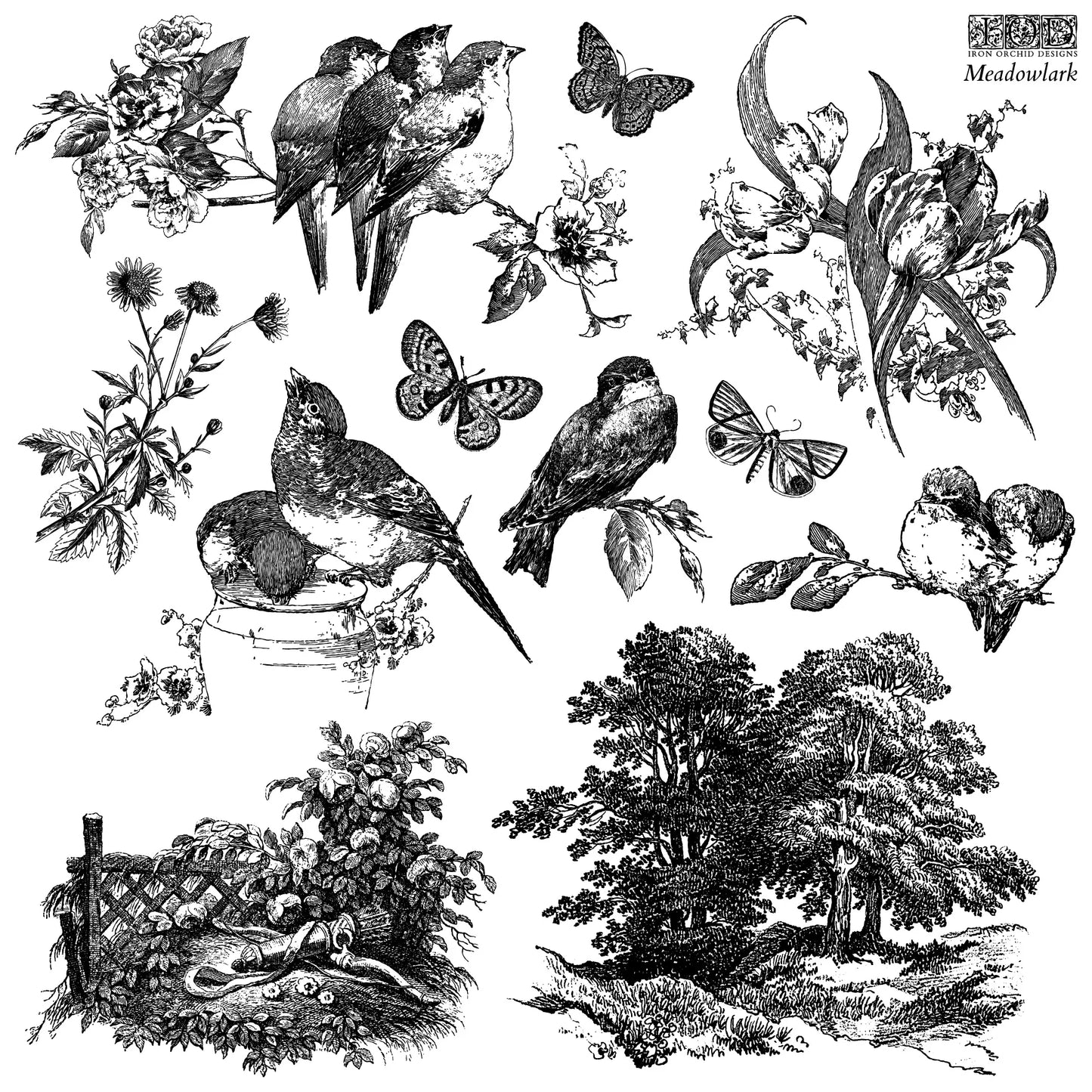 A 12” x 12” stamp depicting illustrations of birds, flowers, and trees in black and white.