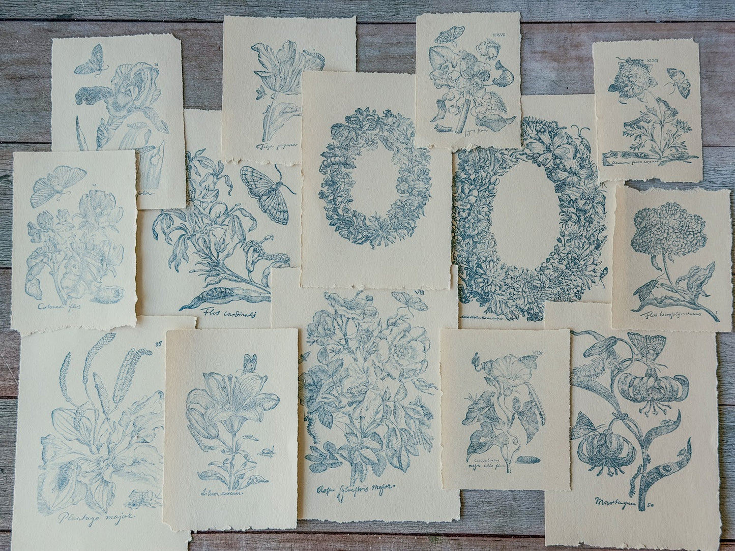 Collection of botanical prints created with the Nature’s Etchings stamps, lying on a wood background.