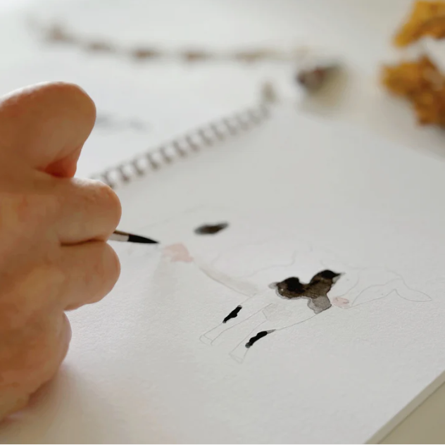 Farm Watercolor Workbook - Emily Lex Studio