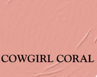 Cowgirl Coral 2 oz. Sample Jar - DIY Paint Co.