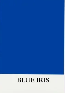 Blue Iris 2 oz. Sample Jar - DIY Paint Co.