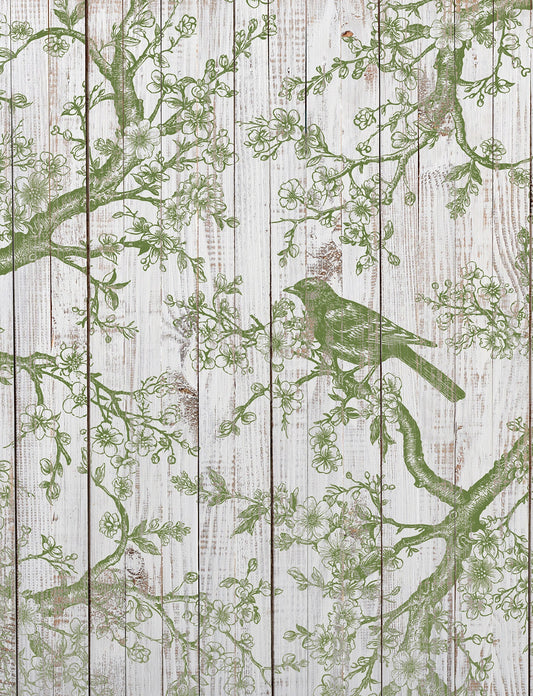 A design from a decorative stamp with a design of cherry blossom branches and birds, in green color on wood