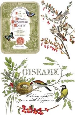 Decorative transfer paper with birds, flowers, and text on a white background. Page from "Winter Botanist" by IOD