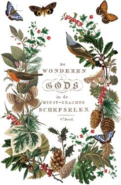Transfer sheet from "Winter Botanist" pad by IOD, displaying decorative elements including plants, birds, and butterflies.