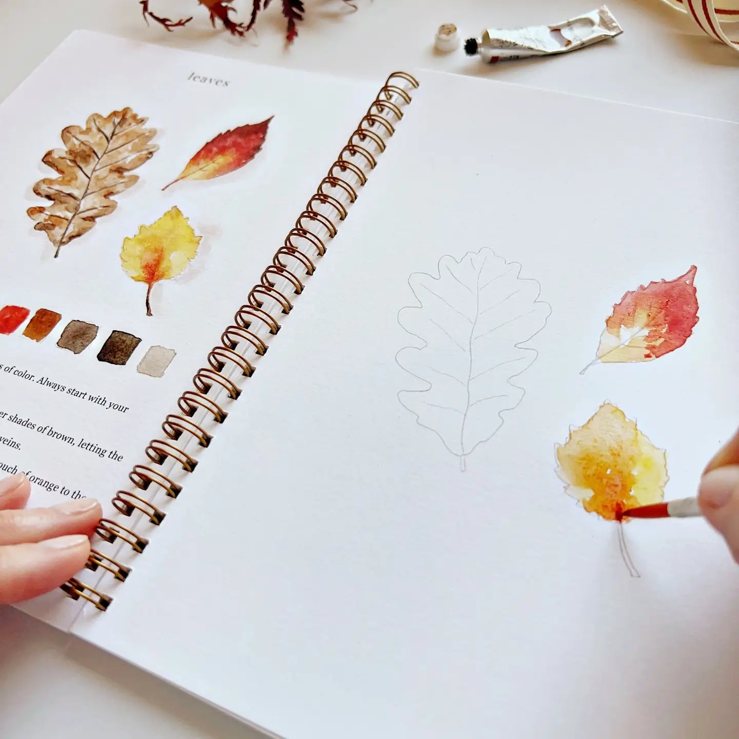 Autumn Watercolor Workbook- Emily Lex Studio