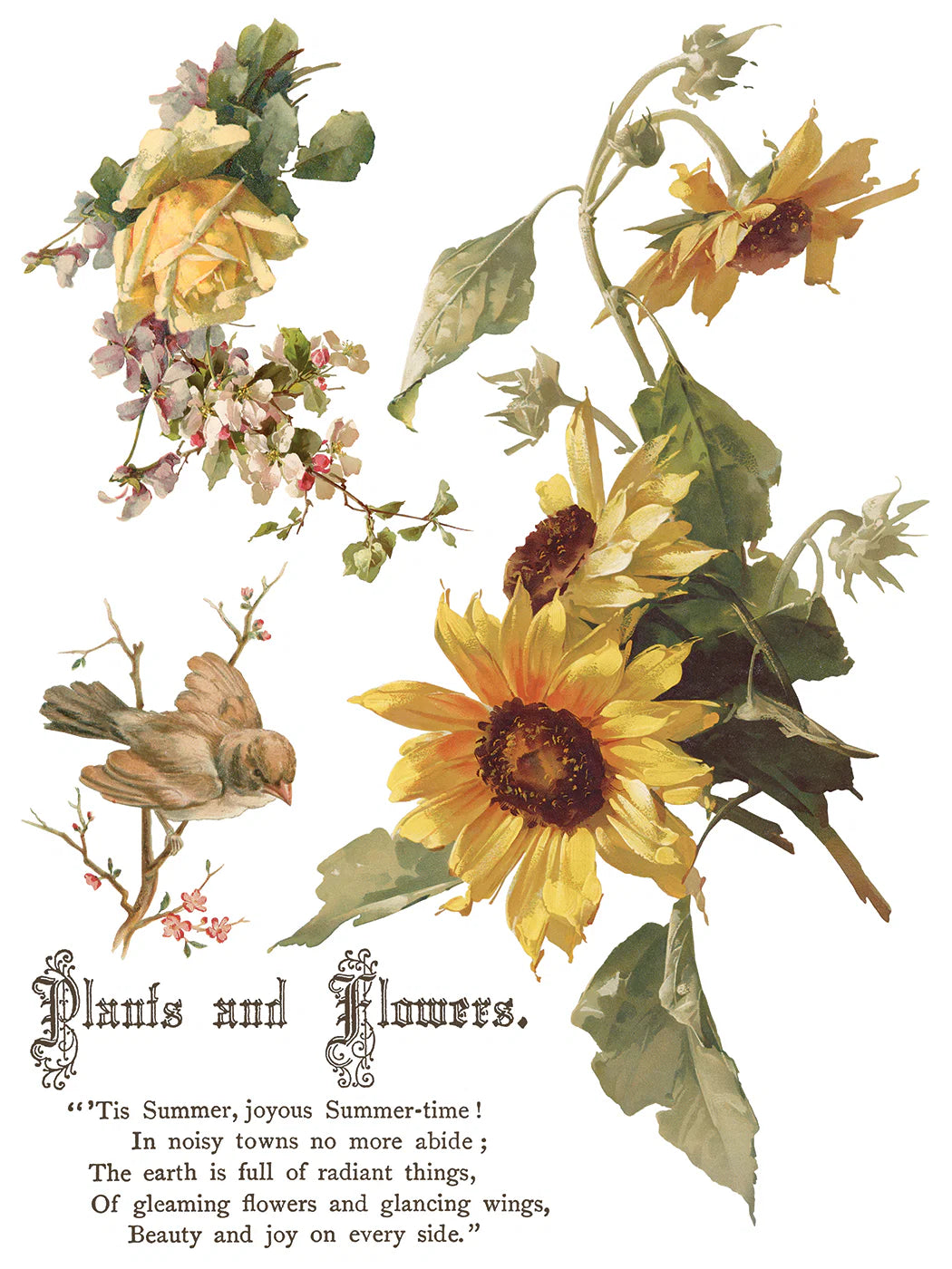 Transfer sheet with vintage-style illustration of sunflowers, birds, and flowers with text on a white background.