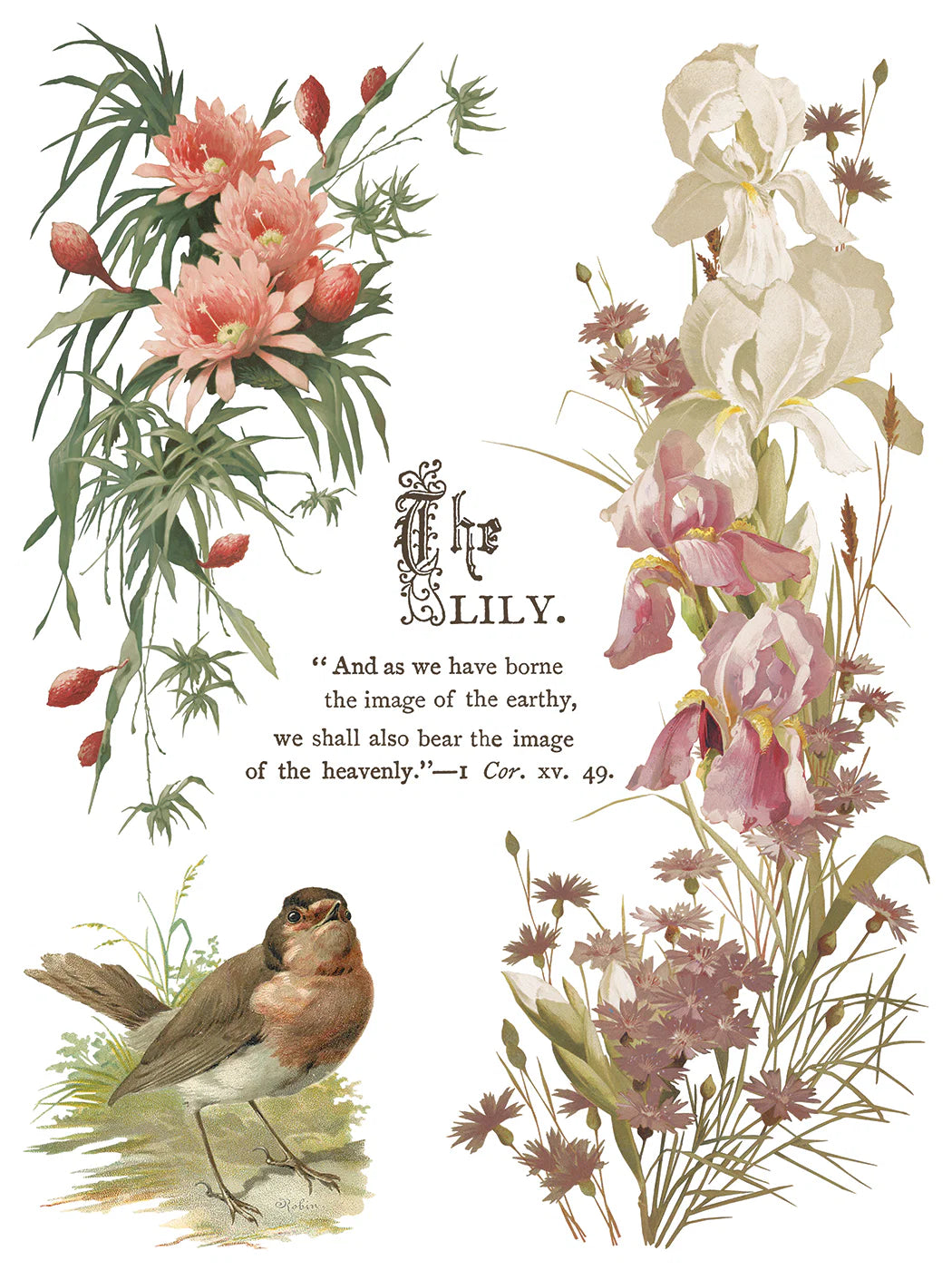 Transfer sheet featuring a vintage-style illustration of flowers and a bird with text on a white background