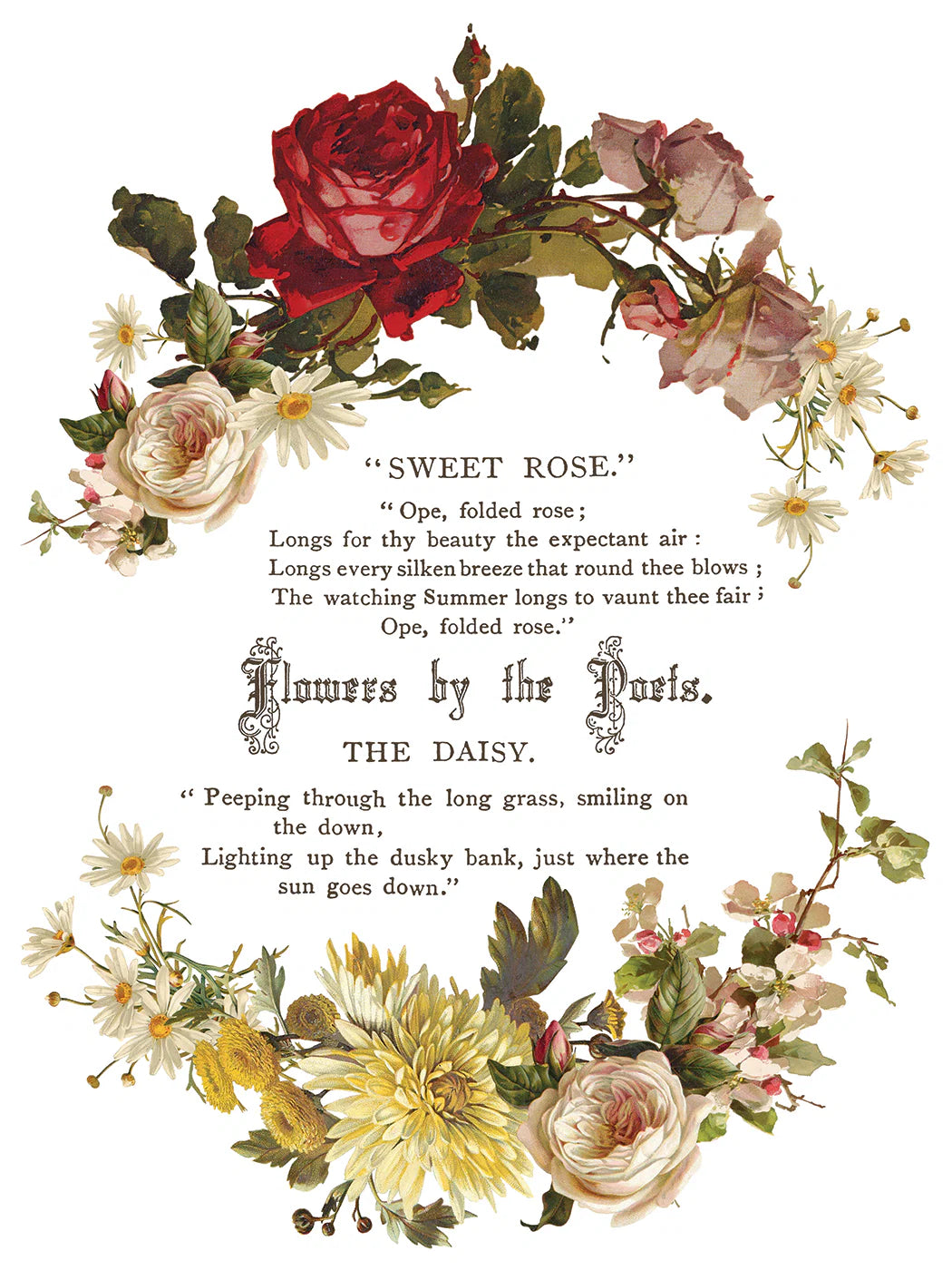 Transfer sheet featuring decorative floral design with text on a white background