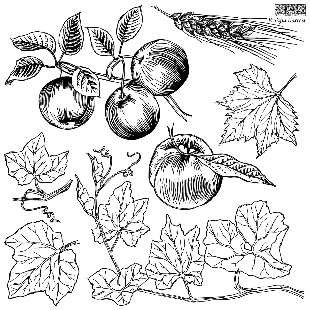 RETIRED Fruitful Harvest stamp, 2 pages- IOD