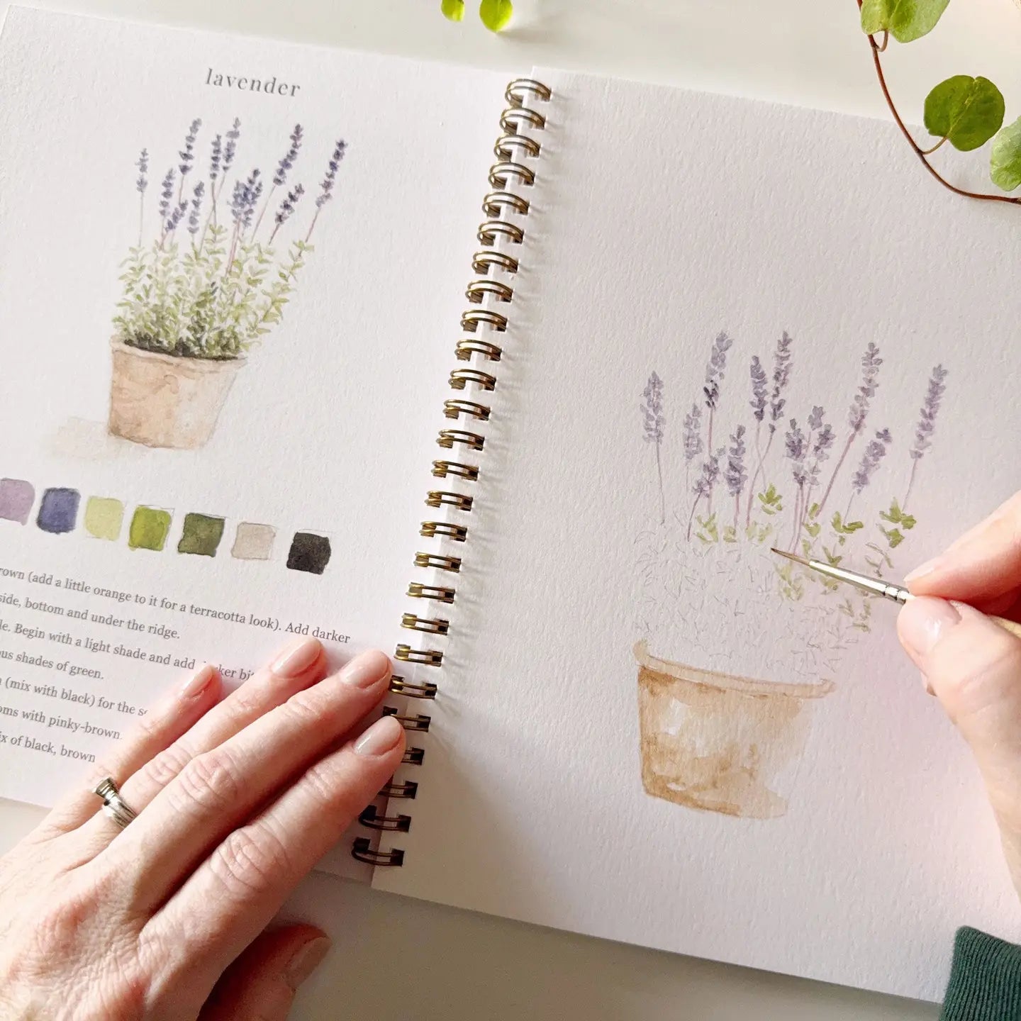 Garden Watercolor Workbook- Emily Lex Studio