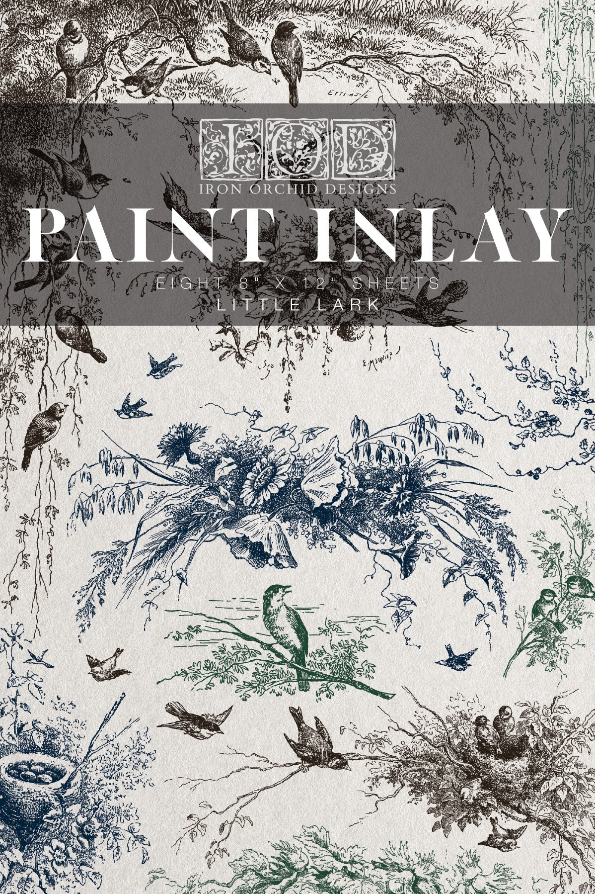 Decorative front cover of 'Iron Orchid Desiigns' paint inlay with nature-themed illustrations