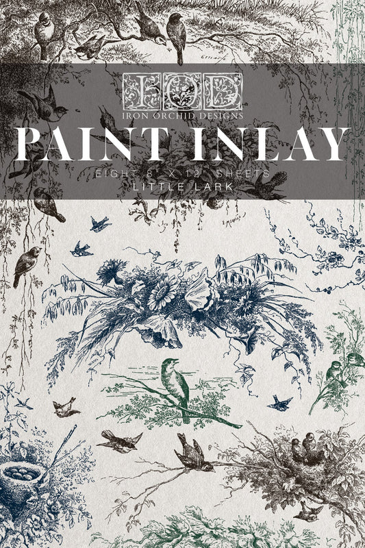 Decorative front cover of 'Iron Orchid Desiigns' paint inlay with nature-themed illustrations