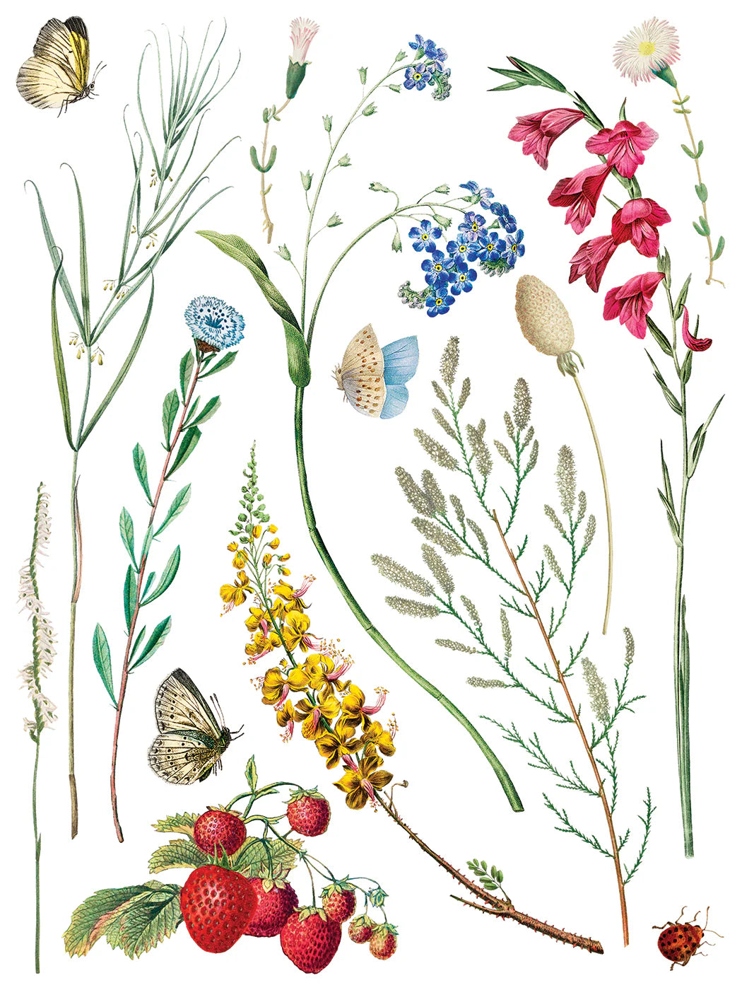 A transfer sheet with illustrations of various flowers, leaves, and butterflies on a white background