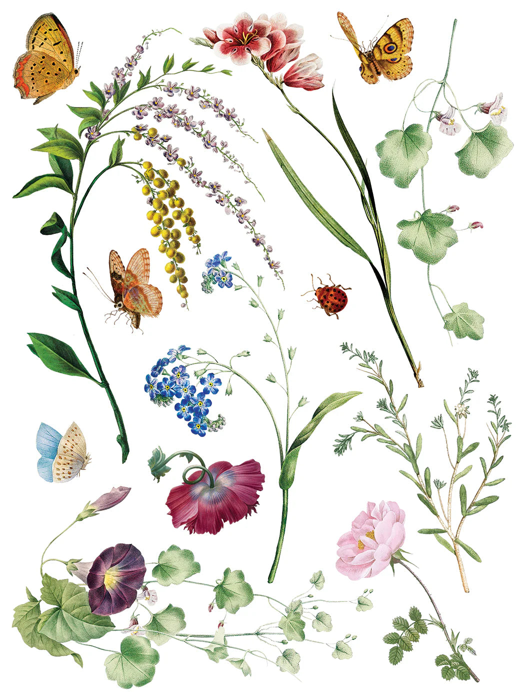 Transfer sheet with illustration of various flowers and butterflies on a white background.