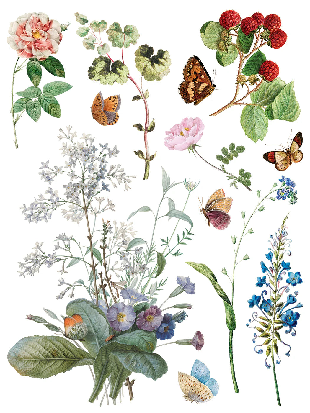 Transfer sheet with illustration of various flowers, leaves, and butterflies on a white background