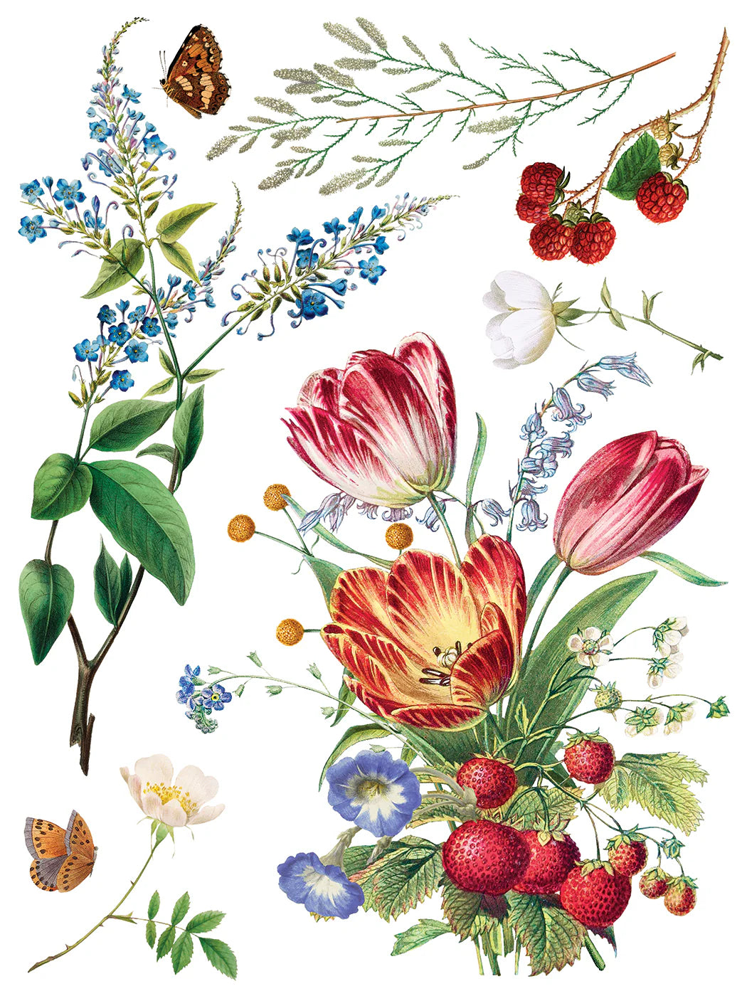 Transfer sheet with an illustration of flowers, berries, and leaves on a white background