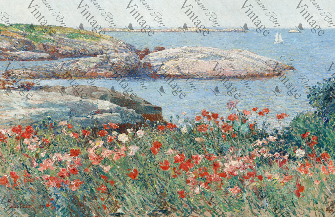 Poppies on the Beach- JRV MEDIUM Rice Paper