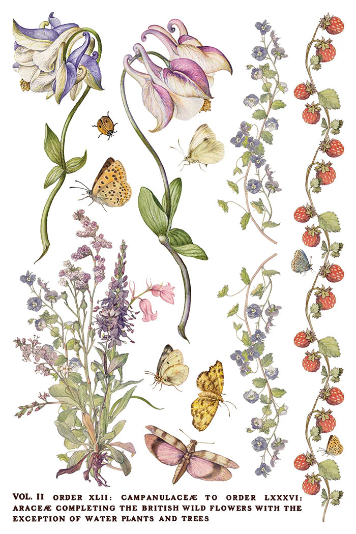 Transfer sheet with an illustration of various flowers and butterflies on a white background