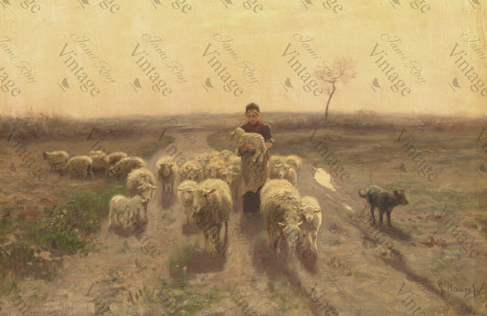 Sheep at Sunset - JRV MEDIUM Rice Paper