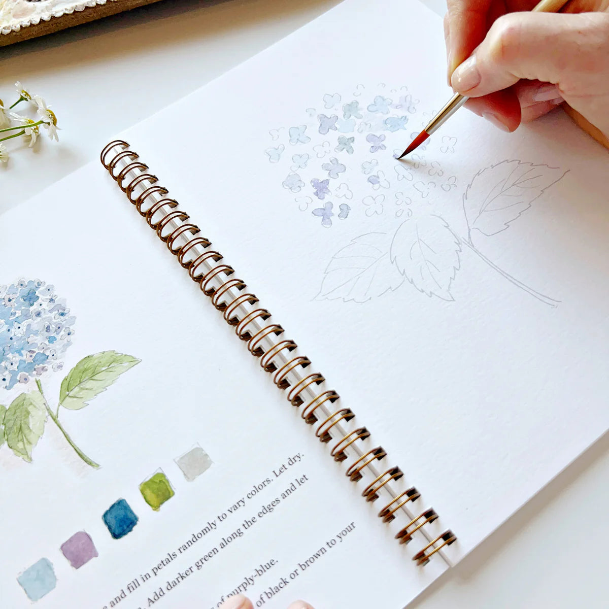 Flowers Watercolor Workbook- Emily Lex Studio