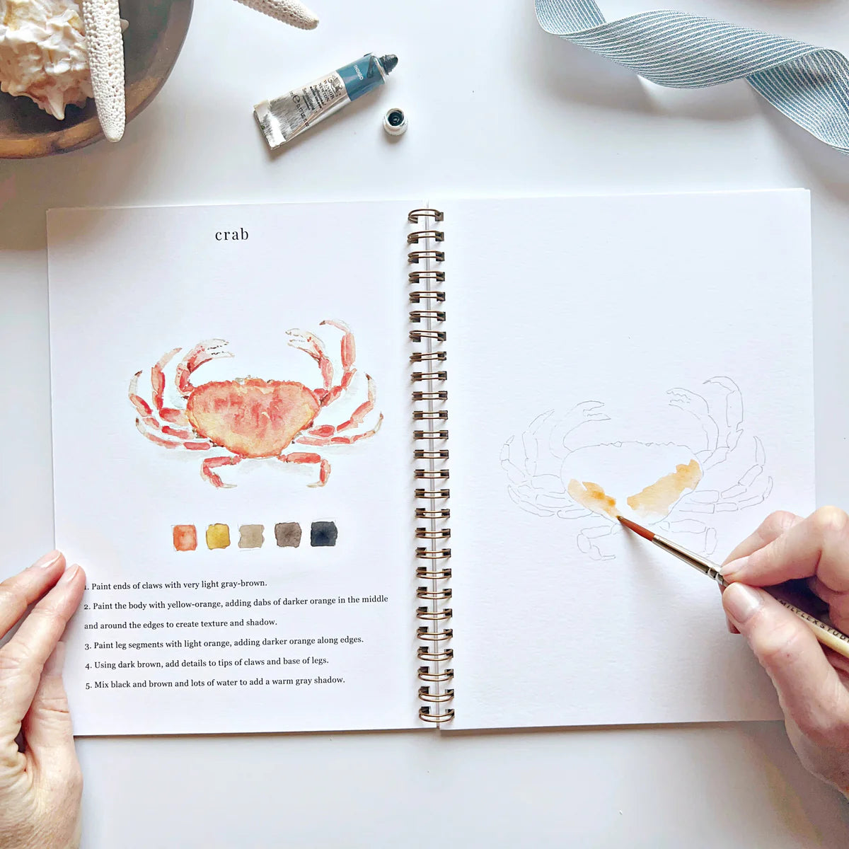 Seaside Watercolor Workbook- Emily Lex Studio