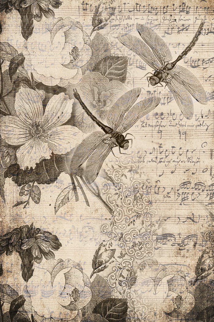 Musical Dragonflies- Roycycled Decoupage Paper