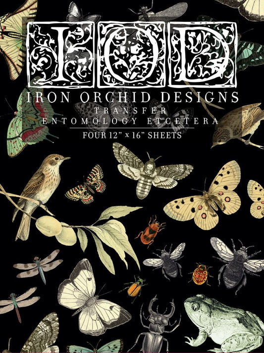 Package of Iron Orchid Designs transfers featuring entomology themes such as insects and butterflies on a black background.