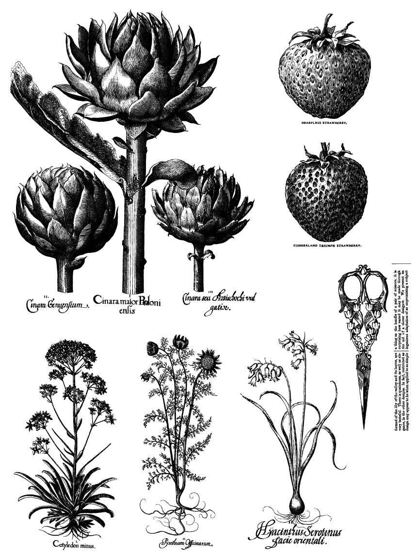 A sheet from the "Melange" paint inlay featurring geranium, strawberry,cotyledon illustrations as well as gardening scissors.