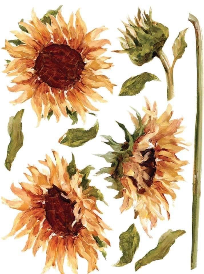 A transfer sheet with four painted sunflowers.