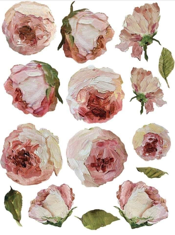 Eleven painted roses and leaves on transfer paper.