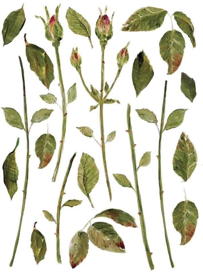 A transfer page from Iron Orchid Designs with unbloomed roses and rose leaves.