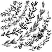 A large stamp from Iron Orchid Designs with floral and wreath designs, predominantly in black.