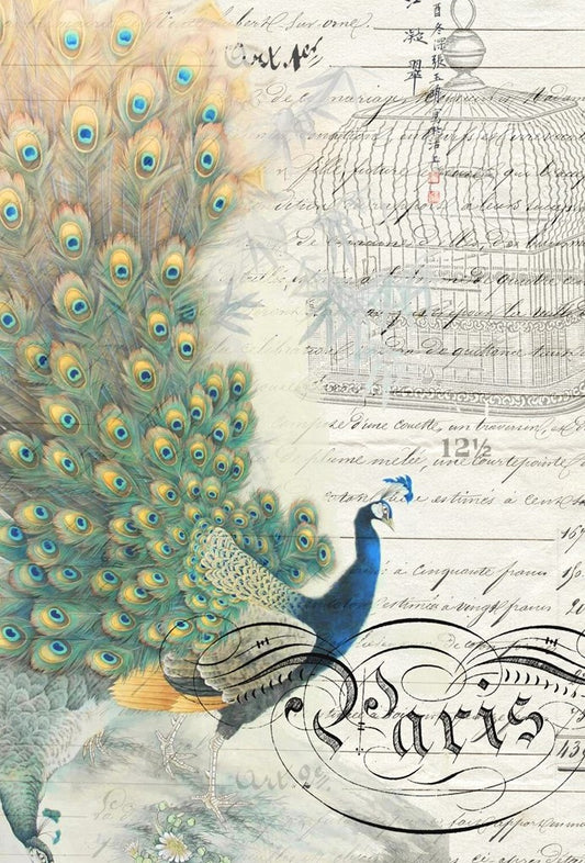 Peacock Ephemera- Roycycled Decoupage Paper